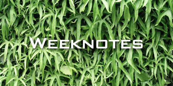 Weeknote 35/2013